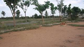 20150508 145343