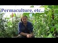 La culture sur buttes 1  permaculture et agrocologie