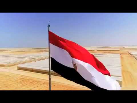 أين وصل مشروع الصوب الزراعية قريبا على الحياة اليوم من قاعدة محمد نجيب العسكرية