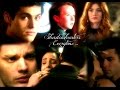 Shadowhunters ~ Everytime