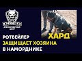 Как научить собаку охранять | Ротвейлер - хороший охранник? | Охрана в наморднике | Школа DRED