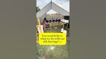 Cleaning the nesting boxes with a twist!