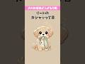 犬の好感度が上がる瞬間②【犬雑学】#いぬのきもち #いぬのいる生活
