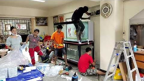 Chai ร้านทอง - วันปรุงโฉมตู้ปลา 72" งานสติกเกอร์ + เปลี่ยนโฟมและไม้อัด + ระบบ O4FS Set 3