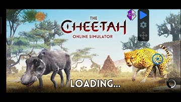 The cheetah : server hacker  only the beginning🥷