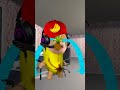The Banana Cat is Hungry 🍌😽 #gmod