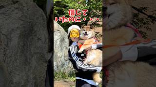 優しそうな人ほど怪しいと悟った柴犬…