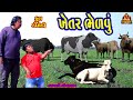 Khetar bhelviyu     gujarati comedy  deshi comedy  bandhav digital 