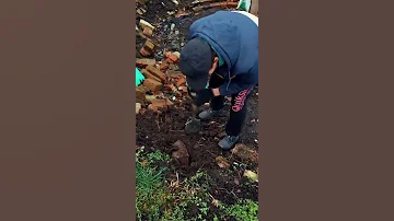 Раскопки / Внутри кирпича