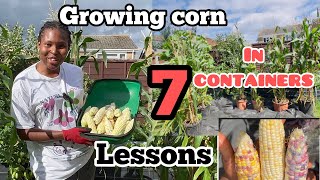 GROWING CORN IN CONTAINERS / WATCH THIS VIDEO / gardening for beginners