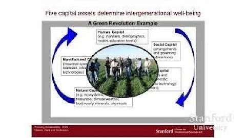 Stanford Webinar: How to Build a Sustainable Organization - The Best Documentary Ever