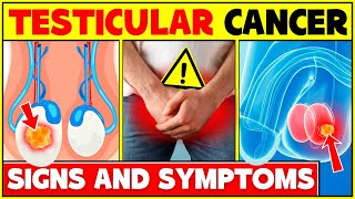 Early Signs And Symptoms Of Testicular Cancer | How To Identify Testicular Cancer?
