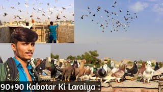 90+90 Kabotar Ki Laraiya | Sameer And Arif Qureshi Kabotar ki laraiya | Gola Kabotar | Kabotar Video