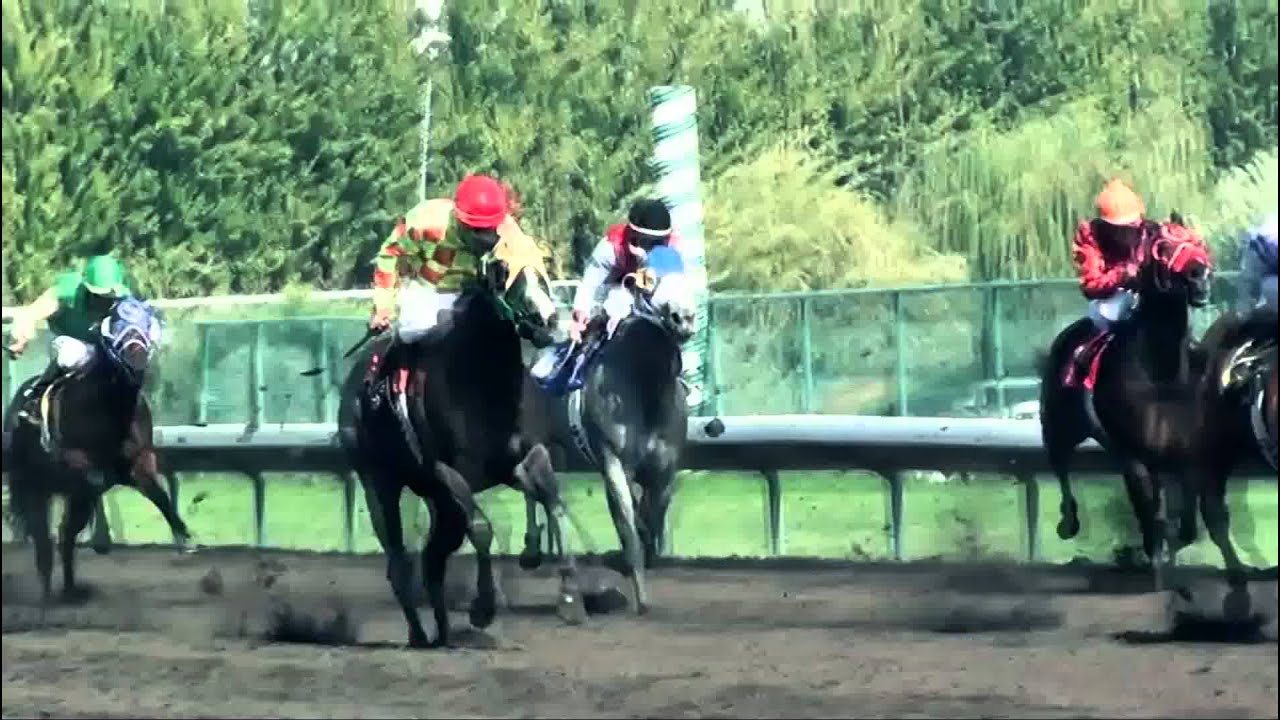 FLY-Y & TURBIN "PIFF UNIT WEST" FREESTYLE (FREE WAZ)