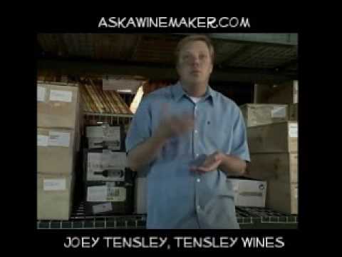When to pick Syrah in California - Joey Tensley