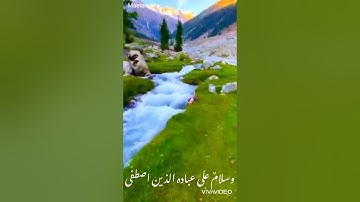 قل الحمد لله ..قرآن كريم بصوت القارئ معاذ العيد ..حالات واتساب ..ستوريات انستا. 💜