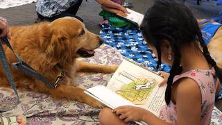 Join Orange County Public Libraries' Read to a Dog program! 🐾📚
