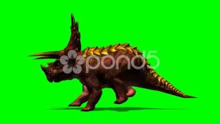 Triceratops Dinosaur Run Attack - Isloatet Green Screen Footage
