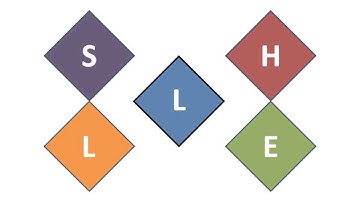 Domain 3 Lesson 6: The SHELL Model
