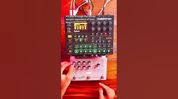 Sampling with the Digitakt #elektron #digitakt #beatmaker #beatmaking #shorts