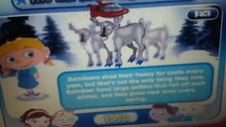 Sydney Mackey Studys The Northern Night Light From Little Einsteins