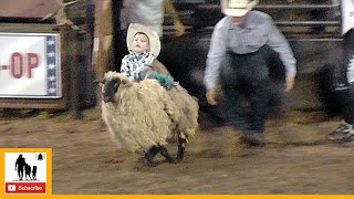 Mutton Bustin&#39; - 2023 Wellington Pro Rodeo | Friday