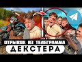 Отрывок из телеграмма // Декстер // КУДА ПРОПАЛ МАКС?