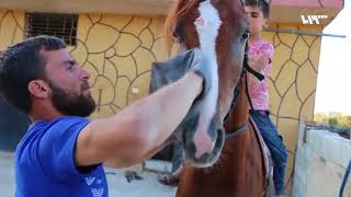 الخيول العربية الأصيلة تفر من ريف حماة إلى إدلب بسببِ القصف