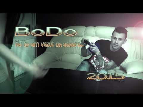 BODO - NU TE - AM VAZUT DE ASEARA (PIESA OFICIALA)