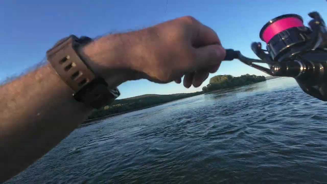 Not the best not the worst - Favorite Black Swan/Shimano Vanquish