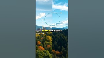 Understanding the Carbon Cycle 🌍 | Nature