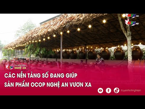Các nền tảng số đang giúp sản phẩm OCOP Nghệ An vươn xa