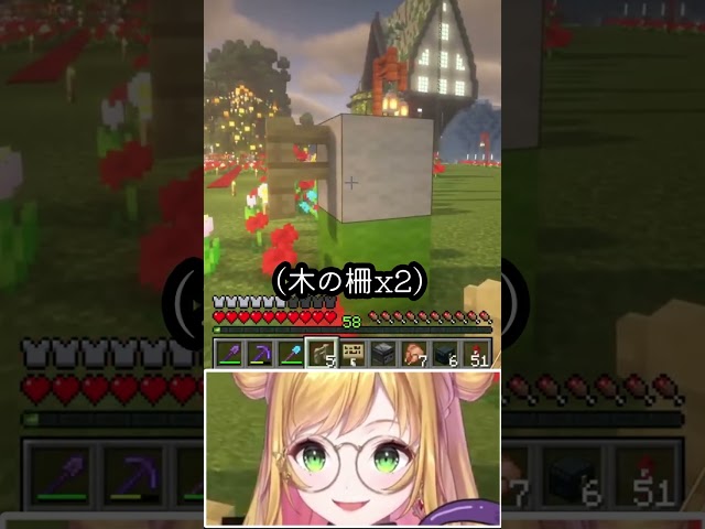 【配信切り抜き】マイクラでご「ゴンさん」を作ってみた#shorts /セフィナ【にじさんじ】のサムネイル