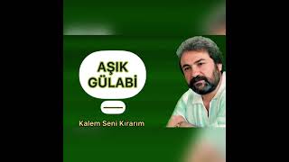 Aşık Gülabi - Kalem Seni Parça Parça Kırarım (Neyin Varda Bugün Niye Yazmıyon) Resimi