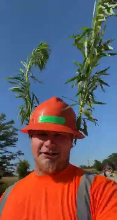 Guy Orange Hard Hat With Plants On His Hat