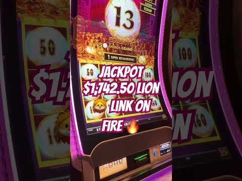 Partecipa ai Tornei di Slot su Spinrollz Casino: il piacere di giocare al casinò online in Italia