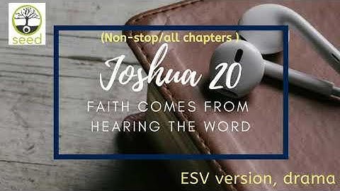 Joshua 20  | ESV | dramatized audio