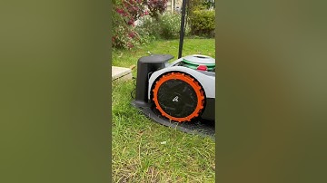 This is one robot I don