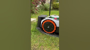 This is one robot I don