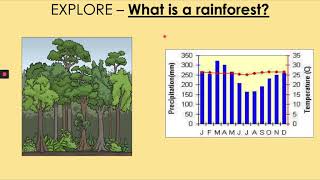 GCSE Living World 9: Rainforests (1)