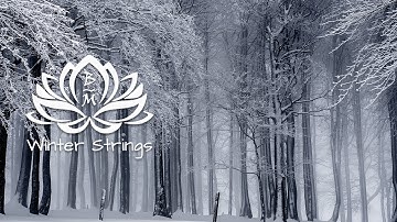 Winter Strings - Relaxing Instrumental Music #contemporarymusic