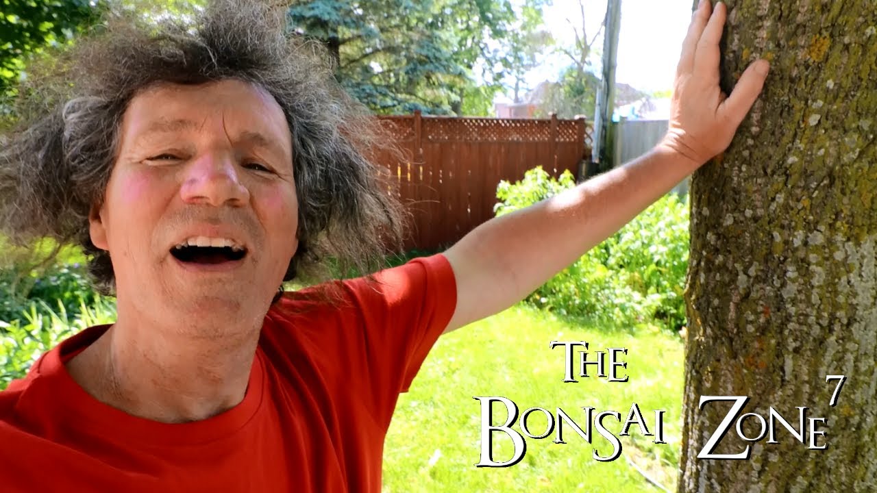 outdoor freakz bambus zahnbürste test Bambus Zahnbürste 