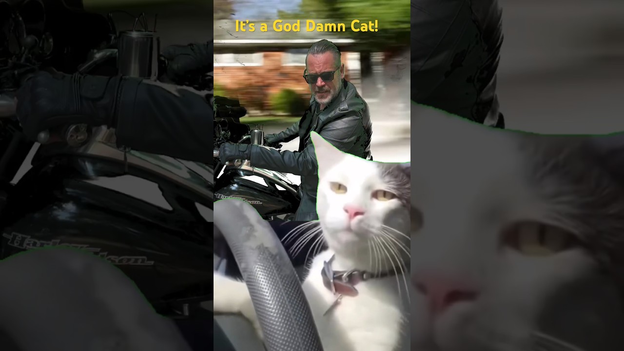 It’s a God Damn Cat! 