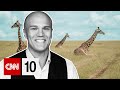 Giraffe Populations and Christmas Island Facts