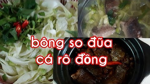Canh chua cá rô đồng nấu bông so đũa  , bò xào, cá rô kho