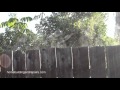 Check Out This Smoking Wood Fence – Home Tips Check Out This Smoking Wood Fence – Home Tips