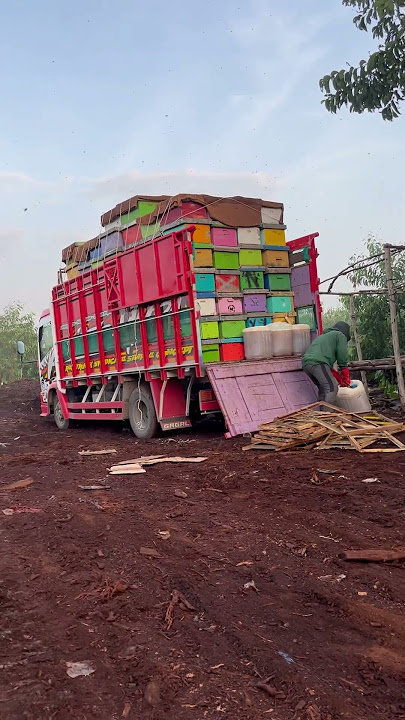 Dumai riau #lintassumatera #storywa #trukindonesia #trukoleng #truckdriver