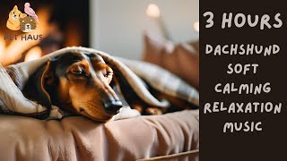 3 HOURS || Dachshund Puppy Dog Relaxation Music || Slow and Soft Piano screenshot 5