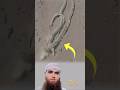 اللهم ابعد عنا كل مخلوق مريب لانعرف ماهيتهHidden Secret تصاميم عبارات حالات متابعه لايكي اكسبلاور 