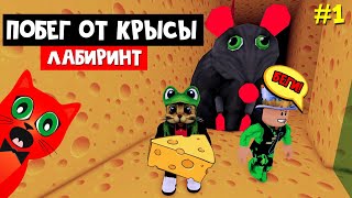 Украли сыр у ОГРОМНОЙ КРЫСЫ в роблокс | Cheese Escape roblox | Побег с Папой и дочки от КРЫСЫ #1